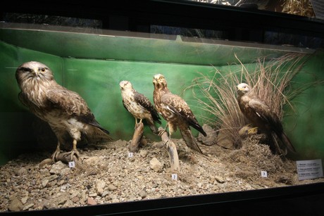 aquarium