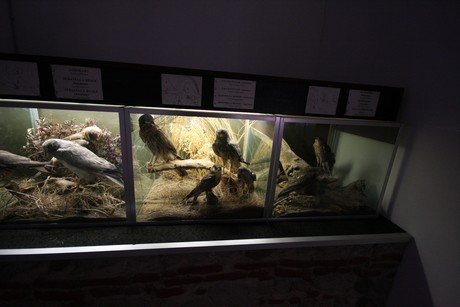 aquarium