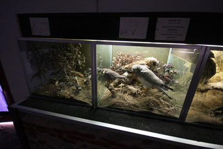 aquarium