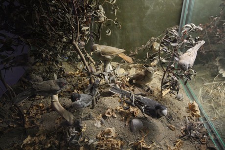 aquarium