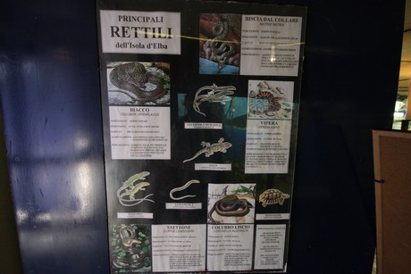 aquarium