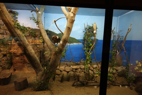 aquarium