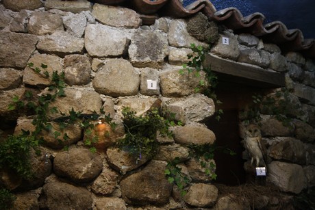 aquarium
