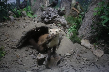 aquarium