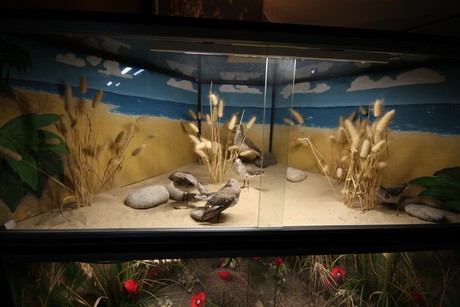 aquarium
