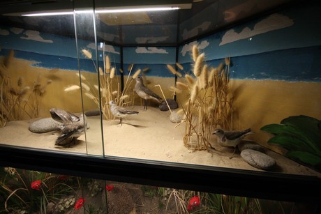 aquarium