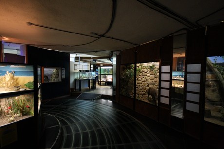 aquarium