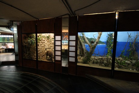 aquarium