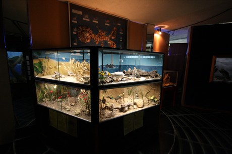 aquarium