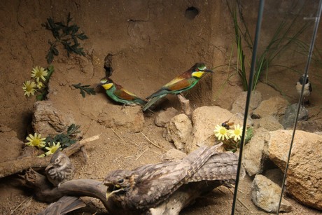 aquarium