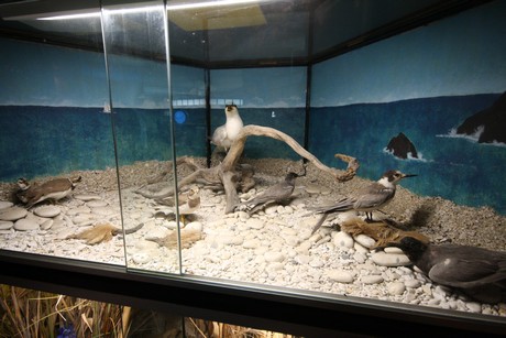 aquarium