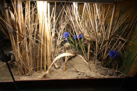 aquarium