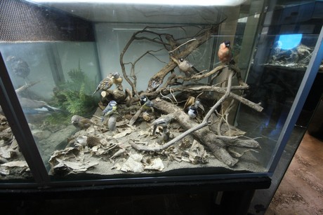 aquarium