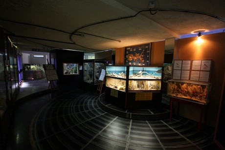 aquarium