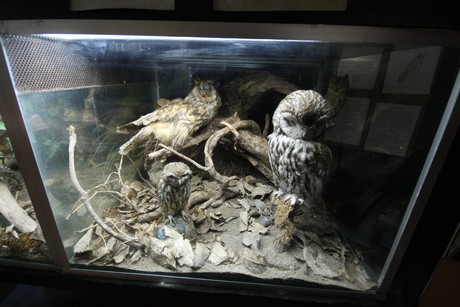 aquarium