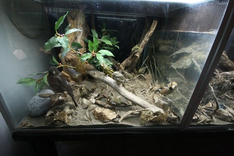 aquarium
