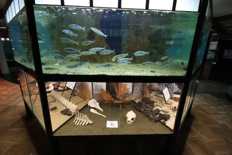 aquarium