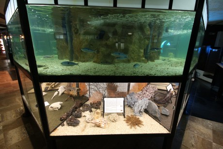 aquarium