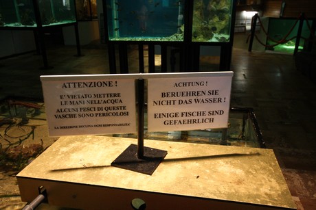 aquarium