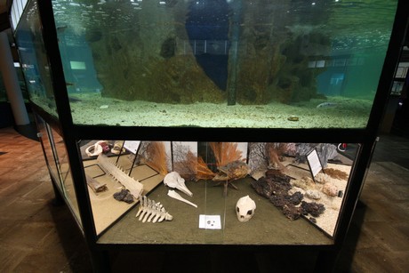 aquarium