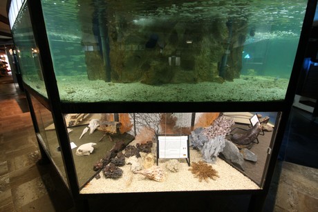 aquarium