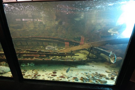 aquarium
