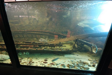 aquarium