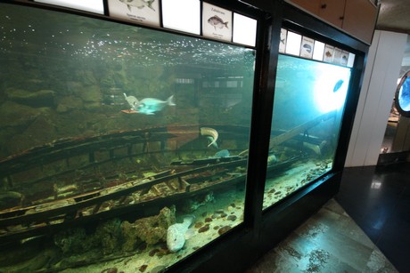 aquarium