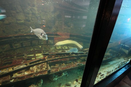 aquarium