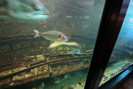 aquarium