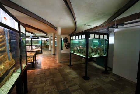 aquarium