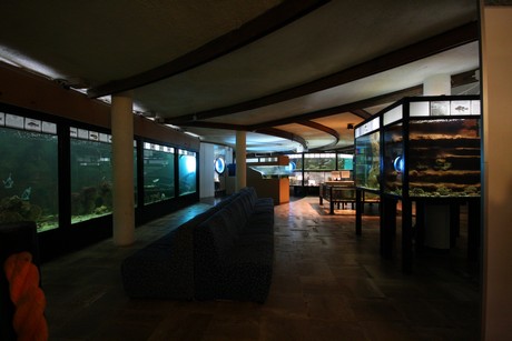 aquarium