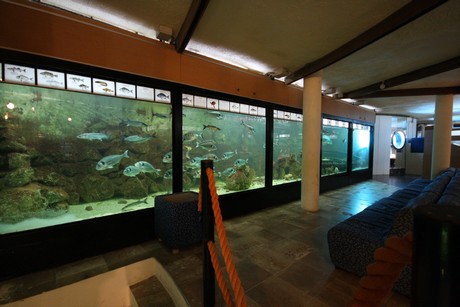aquarium