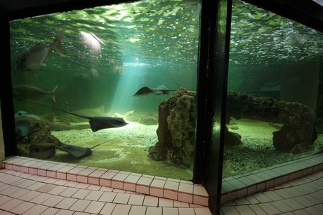 aquarium