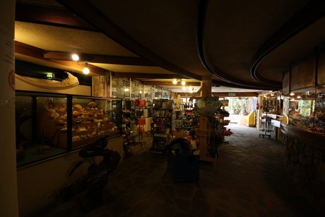 aquarium