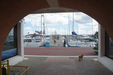 Lavagna
