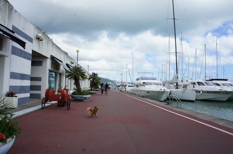 Lavagna