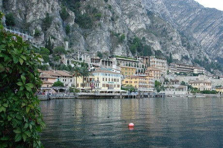 limone