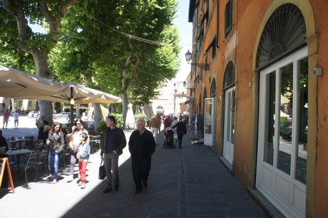 lucca
