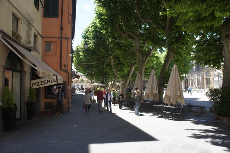 lucca