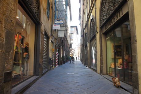 lucca