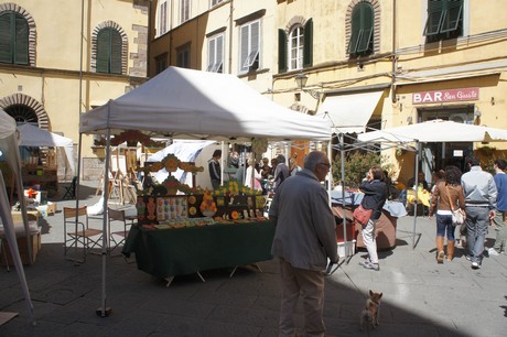 lucca