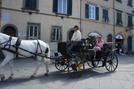 lucca