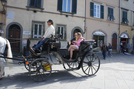 lucca