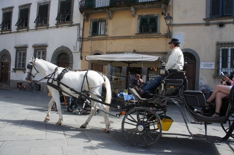 lucca