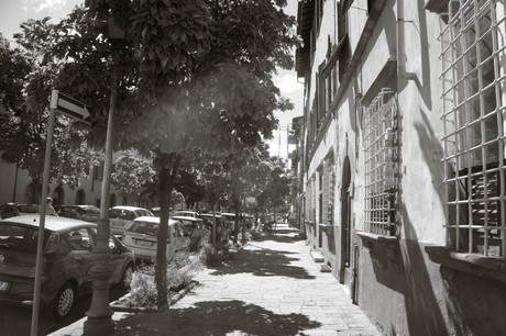 lucca