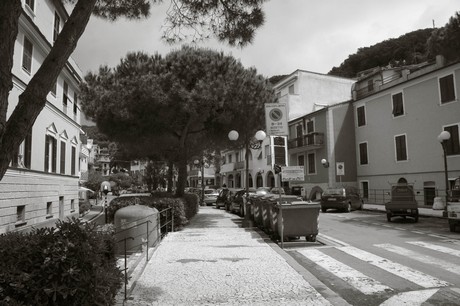 moneglia