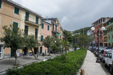 moneglia