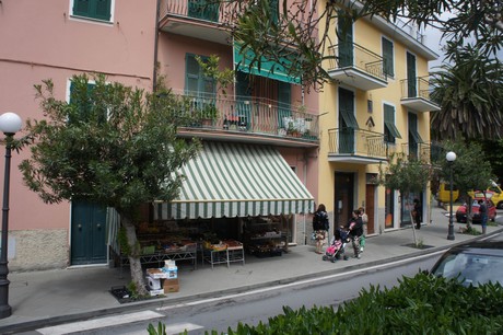 moneglia