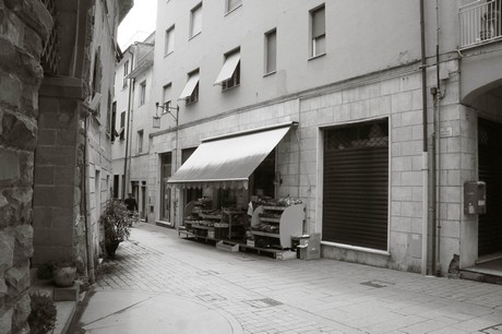 moneglia